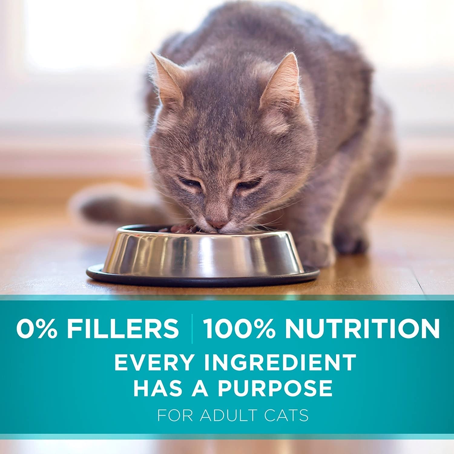 Natural Dry Cat Food, Tender Selects Blend with Real Chicken - 7 Lb. Bag