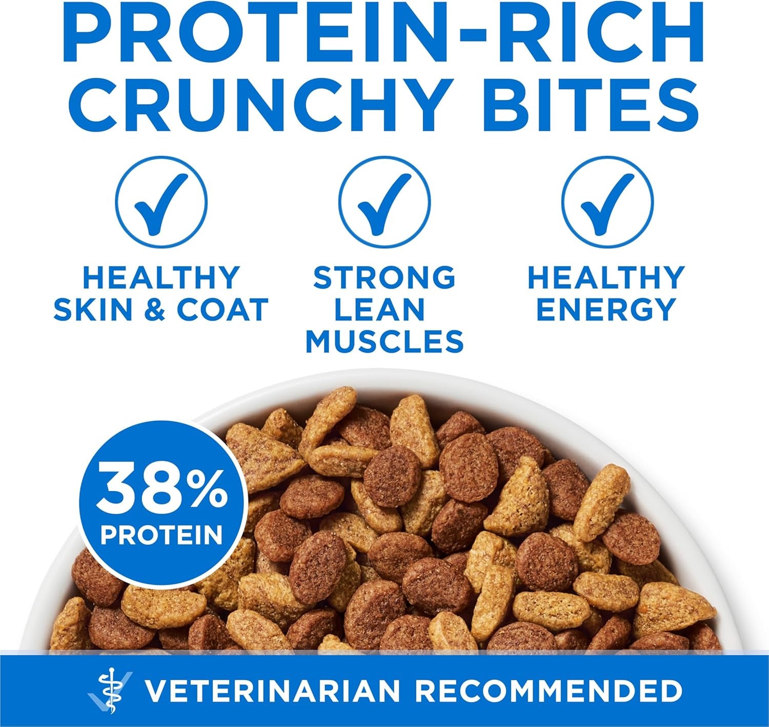 plus High Protein Cat Food Dry Salmon and Ocean Whitefish Cat Skin and Coat Health Formula - 3.5 Lb. Bag