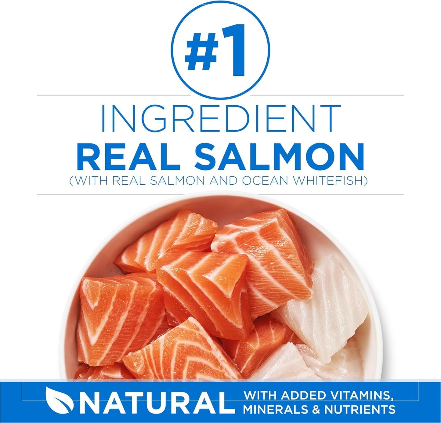 plus High Protein Cat Food Dry Salmon and Ocean Whitefish Cat Skin and Coat Health Formula - 3.5 Lb. Bag