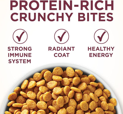 High Protein Dry Cat Food, +Plus Urinary Tract Health Formula - 16 Lb. Bag