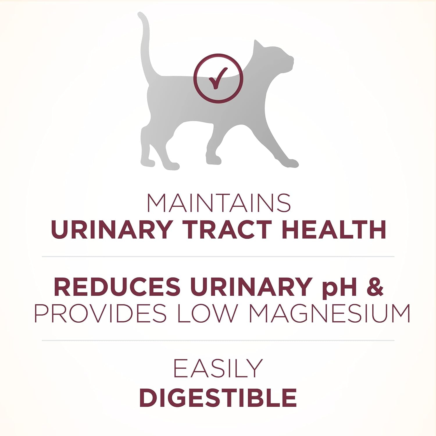 High Protein Dry Cat Food, +Plus Urinary Tract Health Formula - 16 Lb. Bag