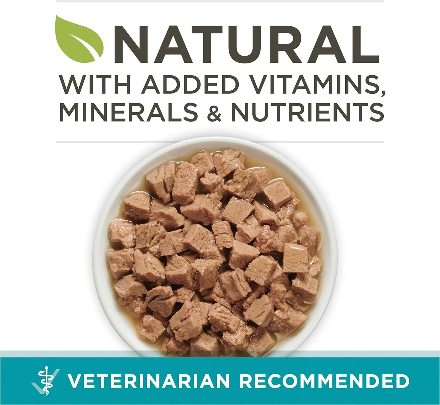 Natural, High Protein Cat Food, Chicken and Salmon Recipe in Sauce - (Pack of 24) 3 Oz. Pull-Top Cans