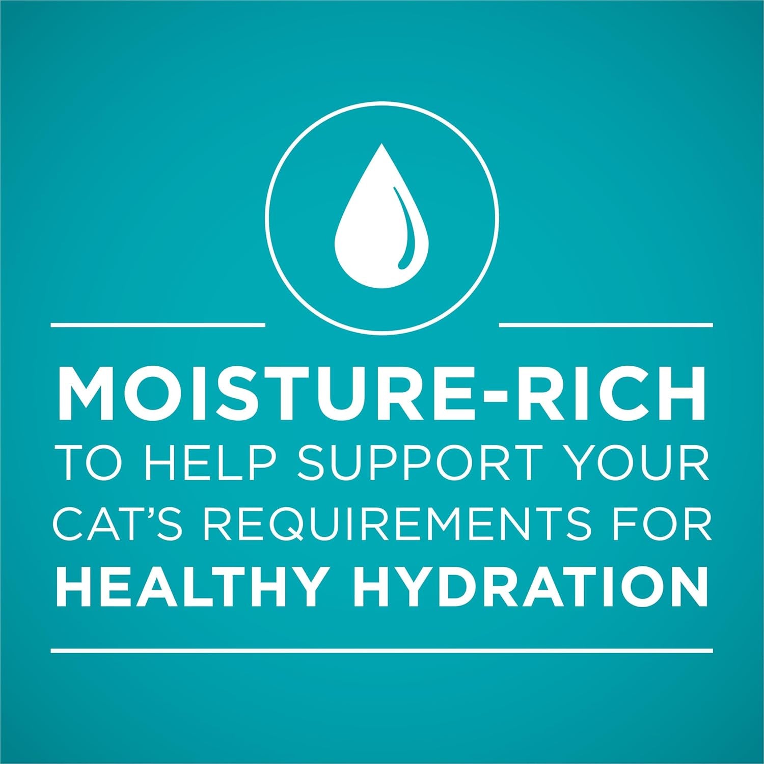 Natural, High Protein Cat Food, Chicken and Salmon Recipe in Sauce - (Pack of 24) 3 Oz. Pull-Top Cans