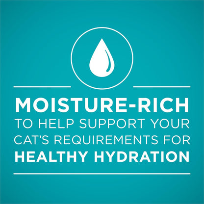 Natural, High Protein Cat Food, Chicken and Salmon Recipe in Sauce - (Pack of 24) 3 Oz. Pull-Top Cans