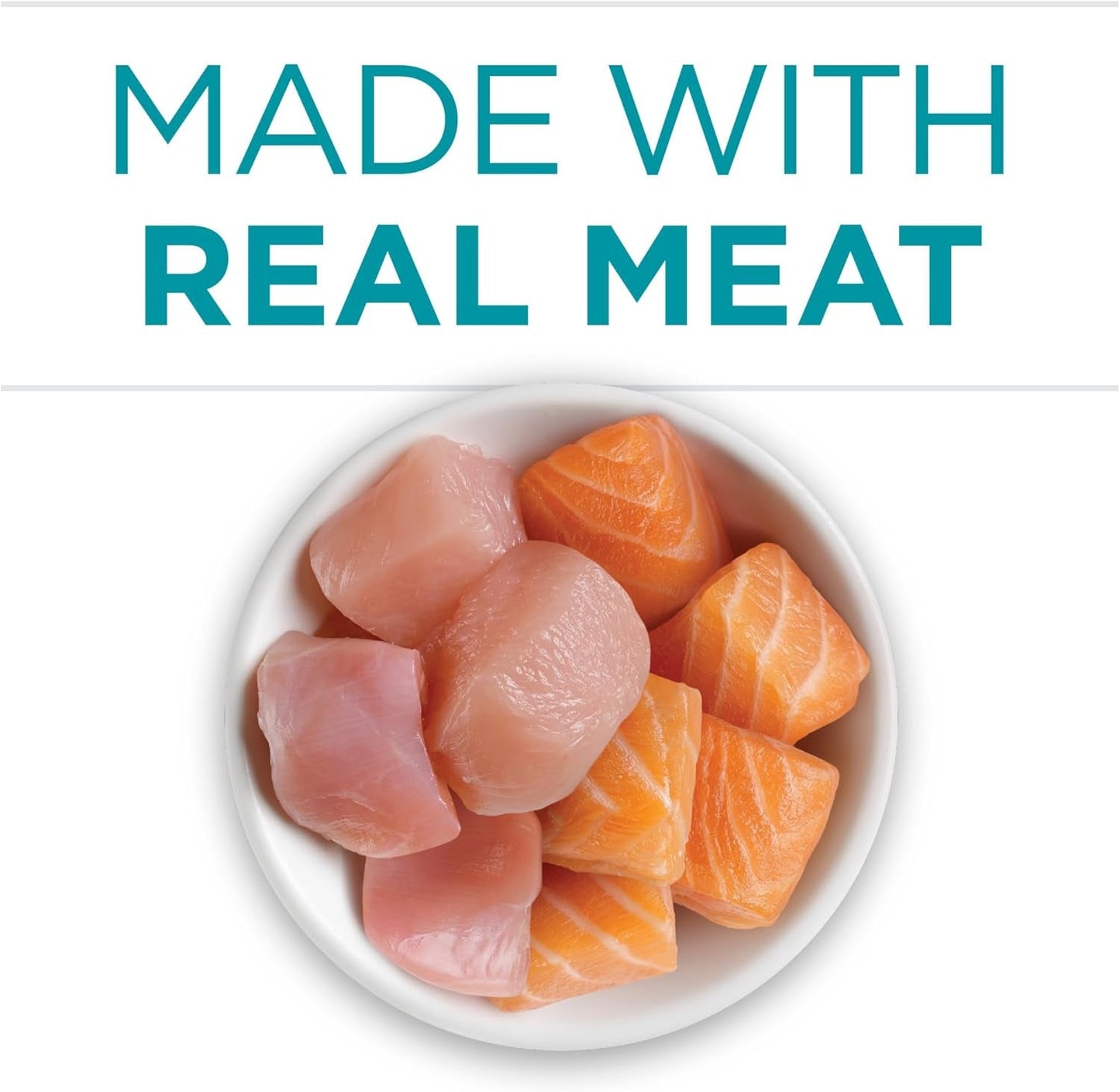 Natural, High Protein Cat Food, Chicken and Salmon Recipe in Sauce - (Pack of 24) 3 Oz. Pull-Top Cans