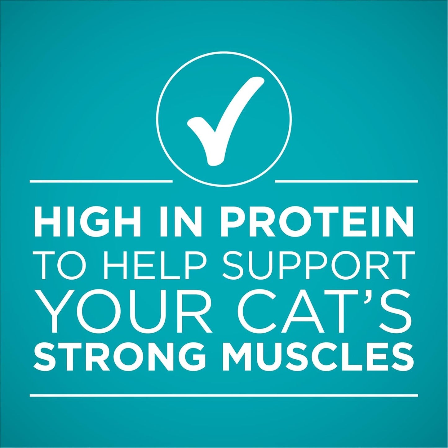 Natural, High Protein Cat Food, Chicken and Salmon Recipe in Sauce - (Pack of 24) 3 Oz. Pull-Top Cans