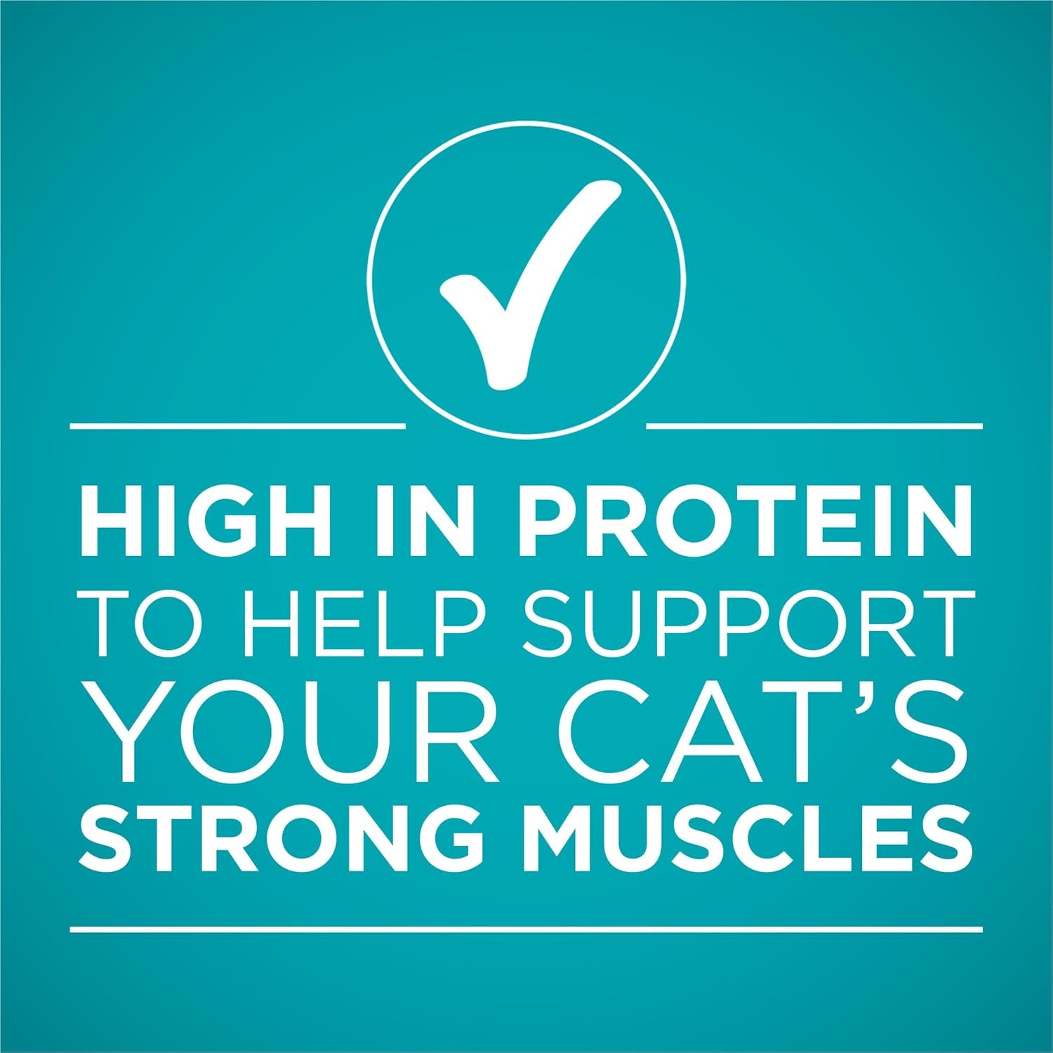 Natural, High Protein Cat Food, Chicken and Salmon Recipe in Sauce - (Pack of 24) 3 Oz. Pull-Top Cans