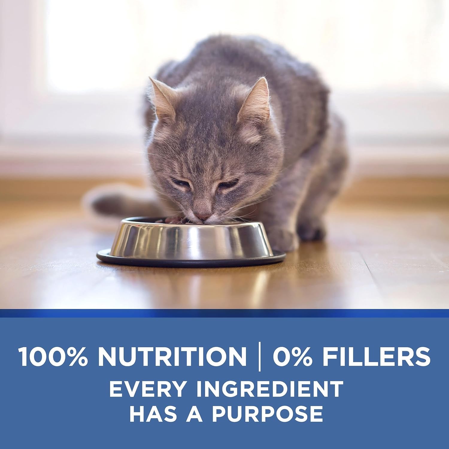 Grain Free, Natural Senior Pate Wet Cat Food, Vibrant Maturity 7+ Chicken & Ocean Whitefish Recipe - (Pack of 24) 3 Oz. Pull-Top Cans