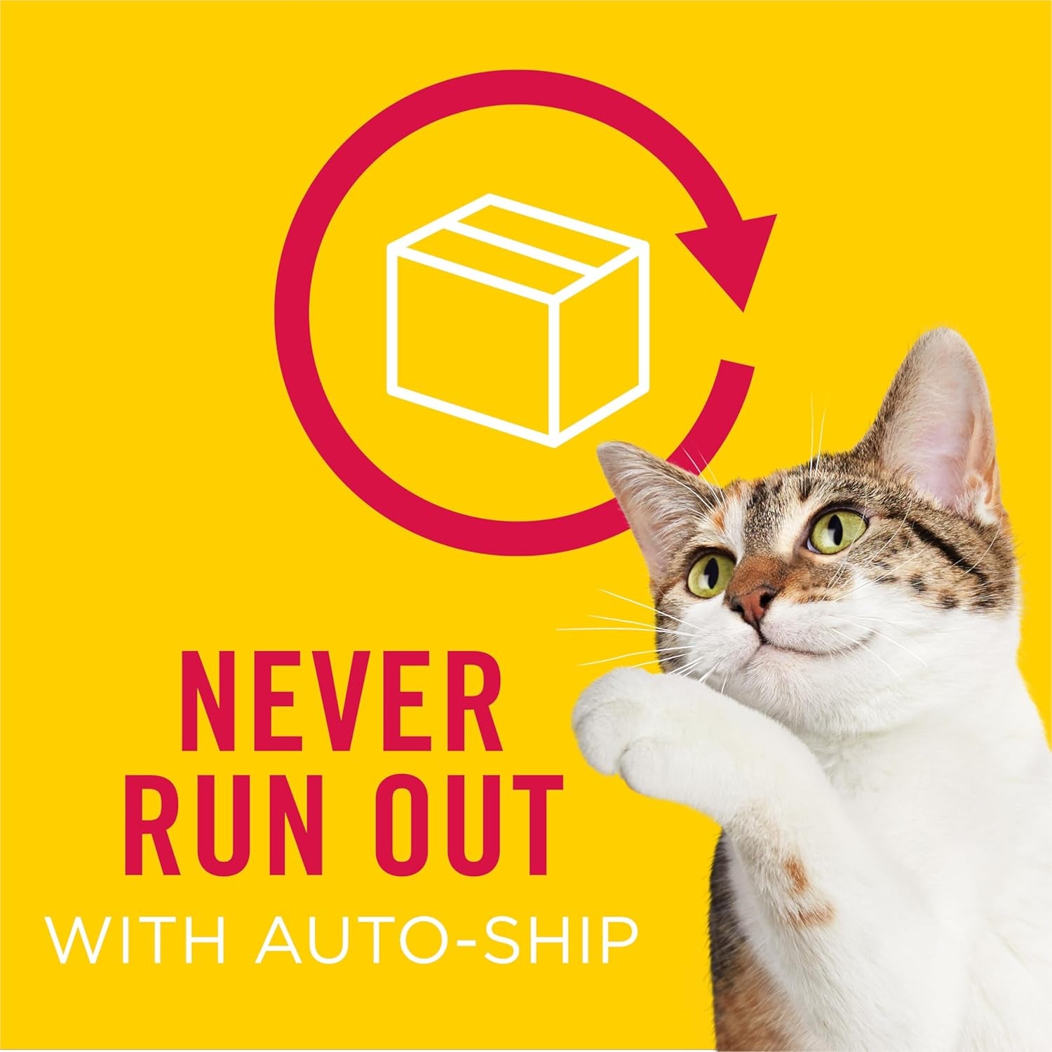 Purina  Wet Cat Food Pate with Turkey in Savory Gravy - Extra Gravy (Pack of 24) 5.5 Oz. Cans