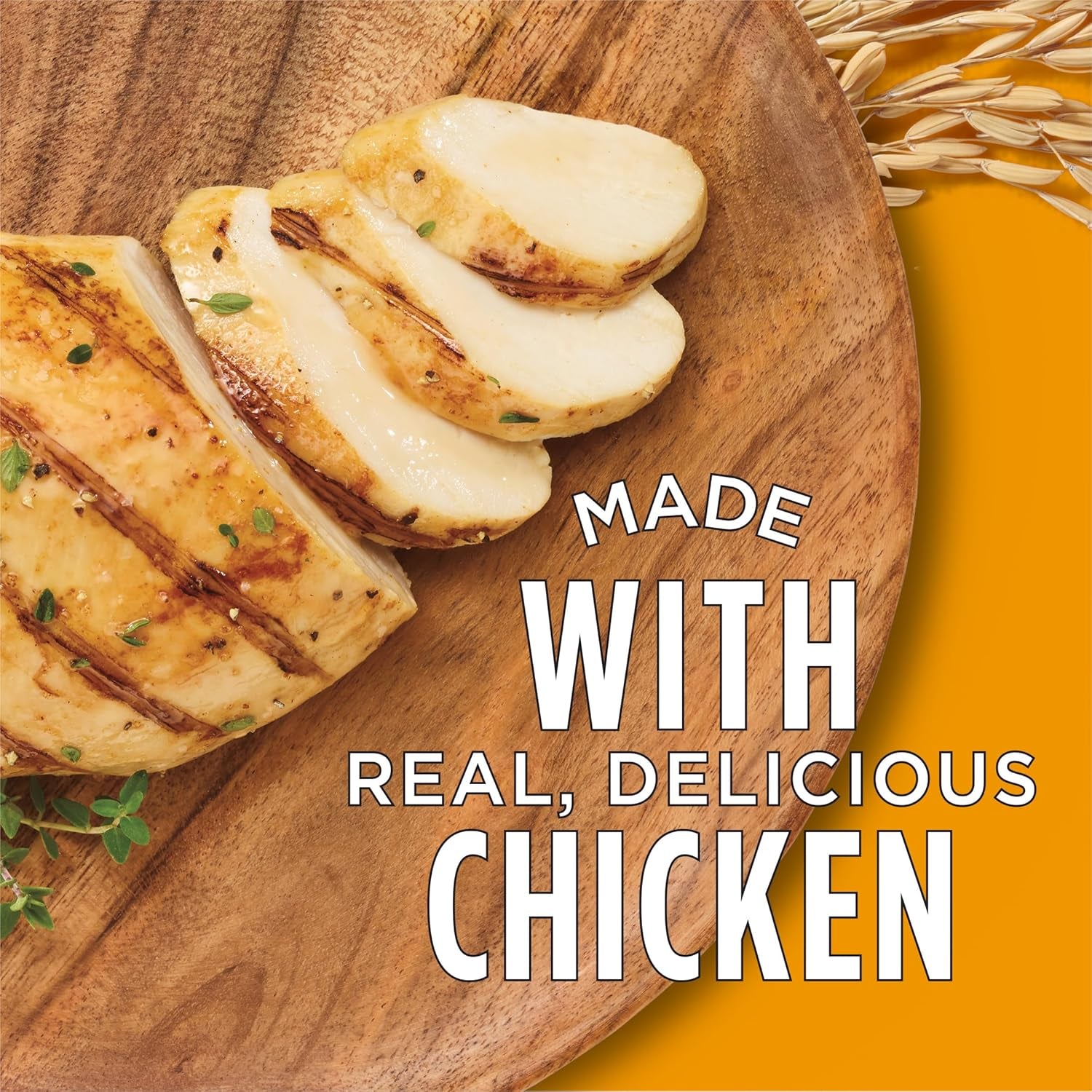 Complete High Protein Dry Cat Food with Real Chicken - (Pack of 4) 3.15 Lb. Bags