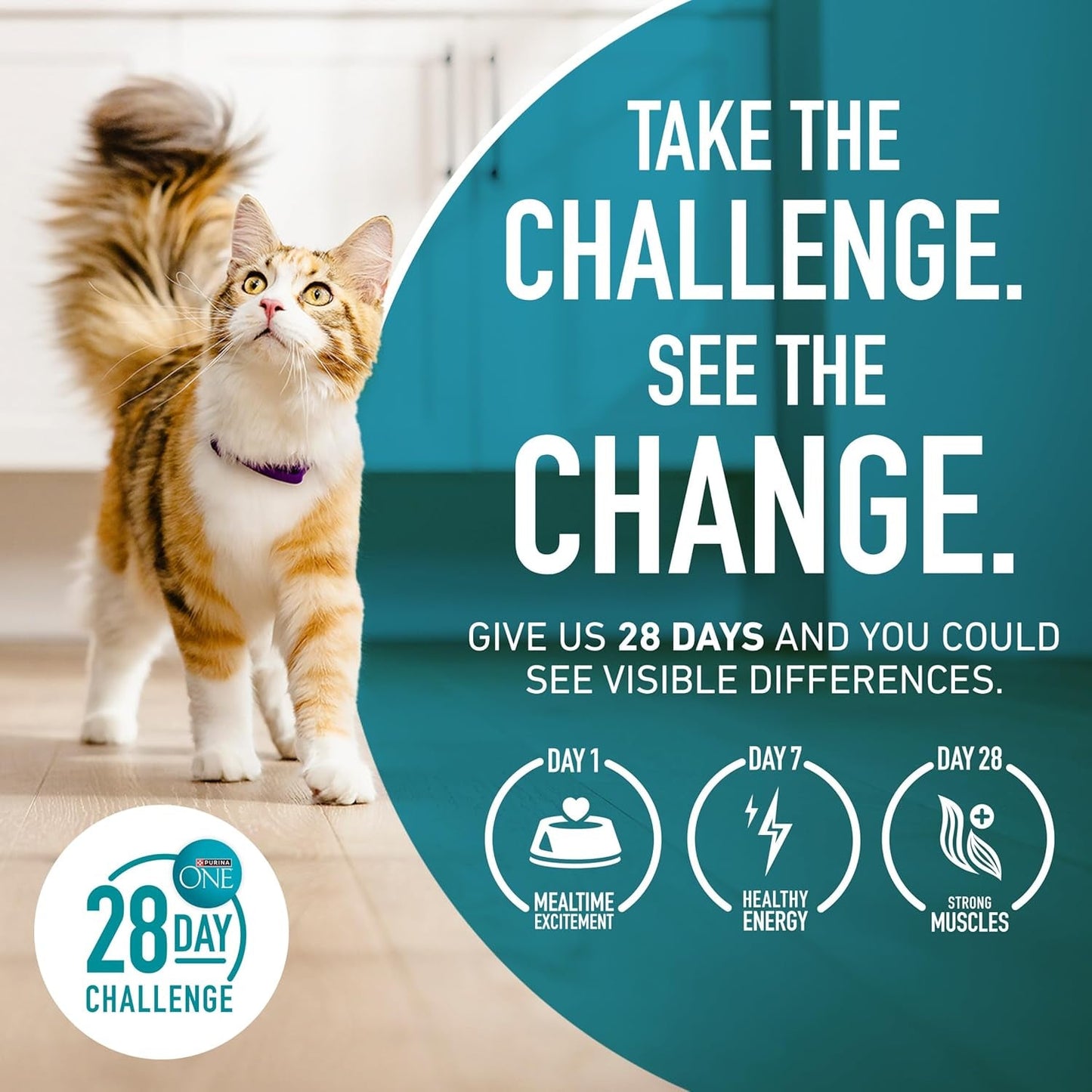 Natural Dry Cat Food, Tender Selects Blend with Real Salmon - 7 Lb. Bag