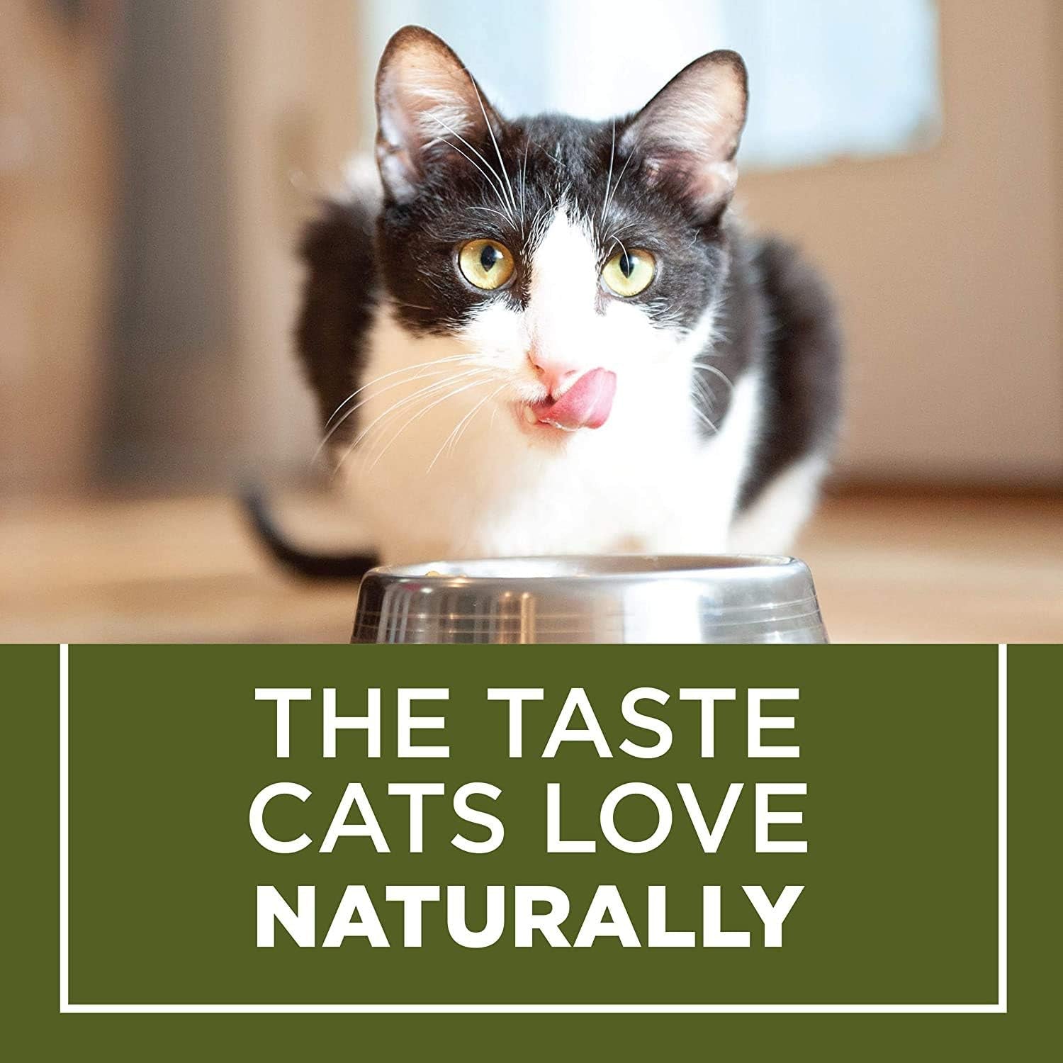 Naturals Dry Cat Food, Indoor with Real Chicken & Turkey, 3.15 Lb Bag