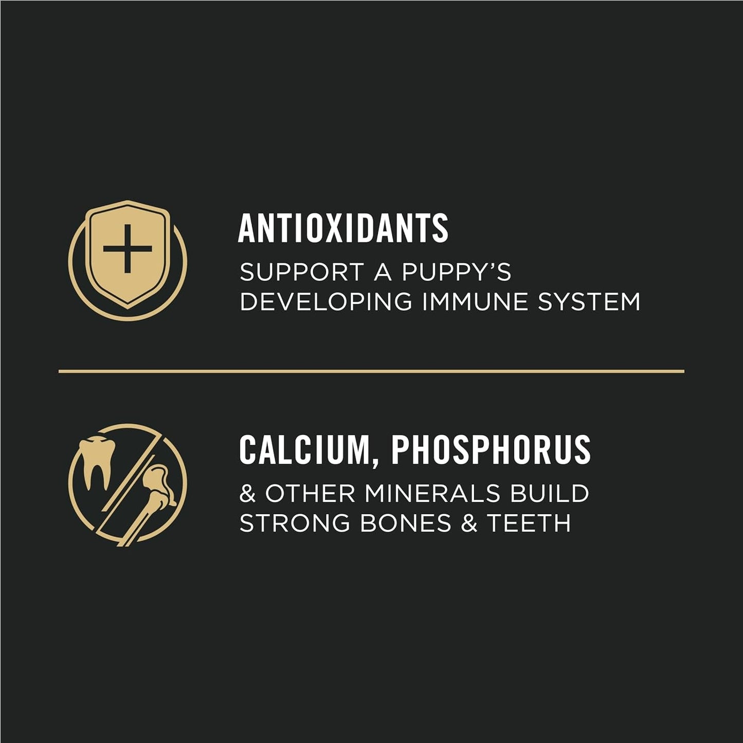 High Protein Dry Puppy Food, Chicken and Rice Formula - 18 Lb. Bag