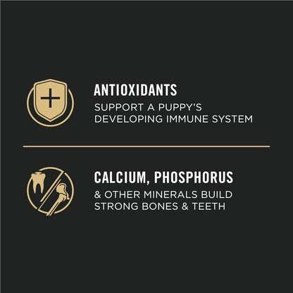 High Protein Dry Puppy Food, Chicken and Rice Formula - 18 Lb. Bag