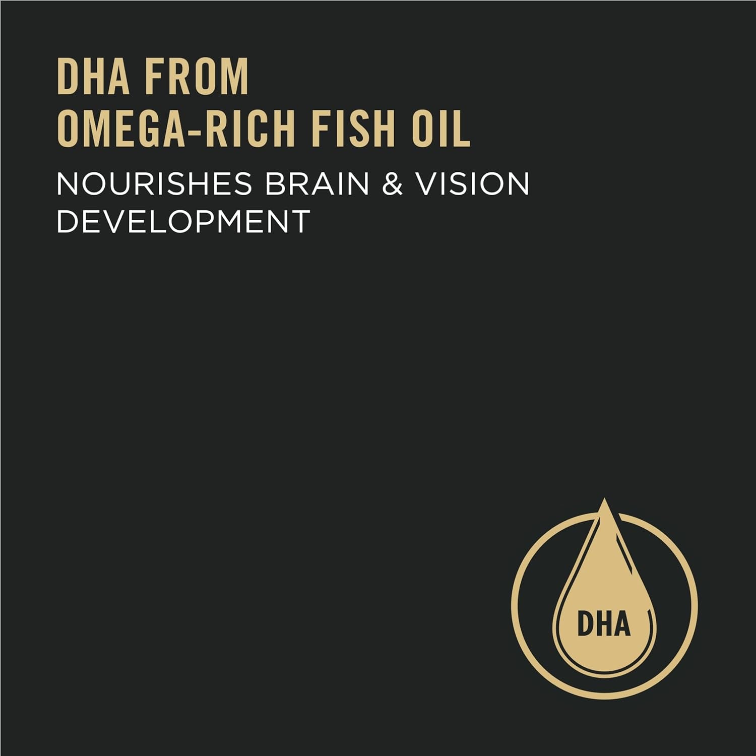 High Protein Dry Puppy Food, Chicken and Rice Formula - 18 Lb. Bag