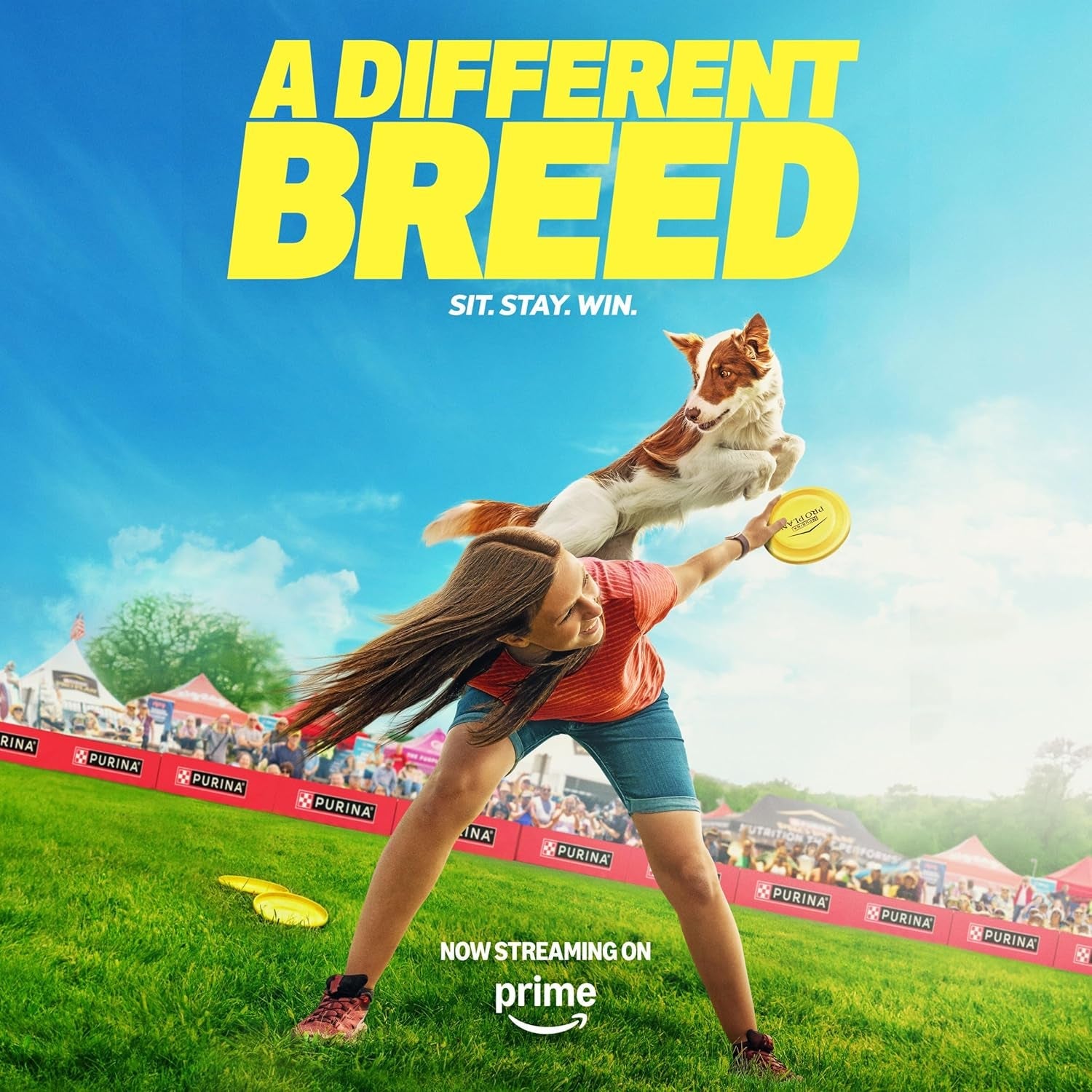 Sport Performance 30/20 Chicken and Rice Formula High Protein Dog Food - 37.5 Lb. Bag