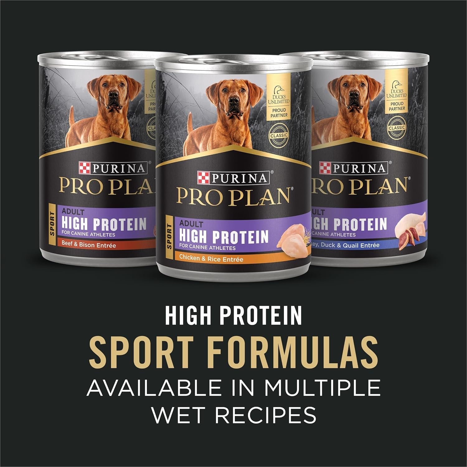 Sport Performance 30/20 Chicken and Rice Formula High Protein Dog Food - 37.5 Lb. Bag
