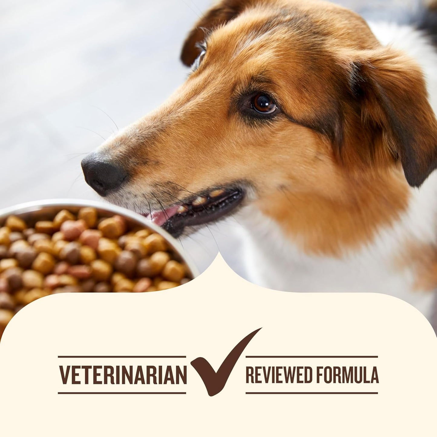 Dry Dog Food, Real Beef, Pea & Brown Rice Recipe Whole Health Blend for Adult Dogs, 28 Lb. Bag, Packaging May Vary (Rachael Ray)