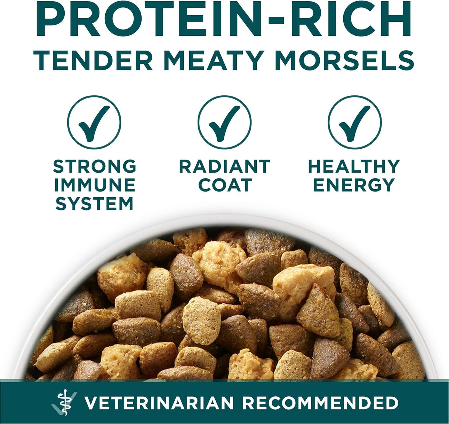 plus Puppy Dry Dog Food for Large Dogs High Protein Growth Support, Real Chicken - 31.1 Lb Bag