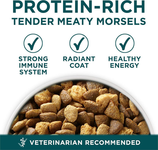 plus Puppy Dry Dog Food for Large Dogs High Protein Growth Support, Real Chicken - 31.1 Lb Bag