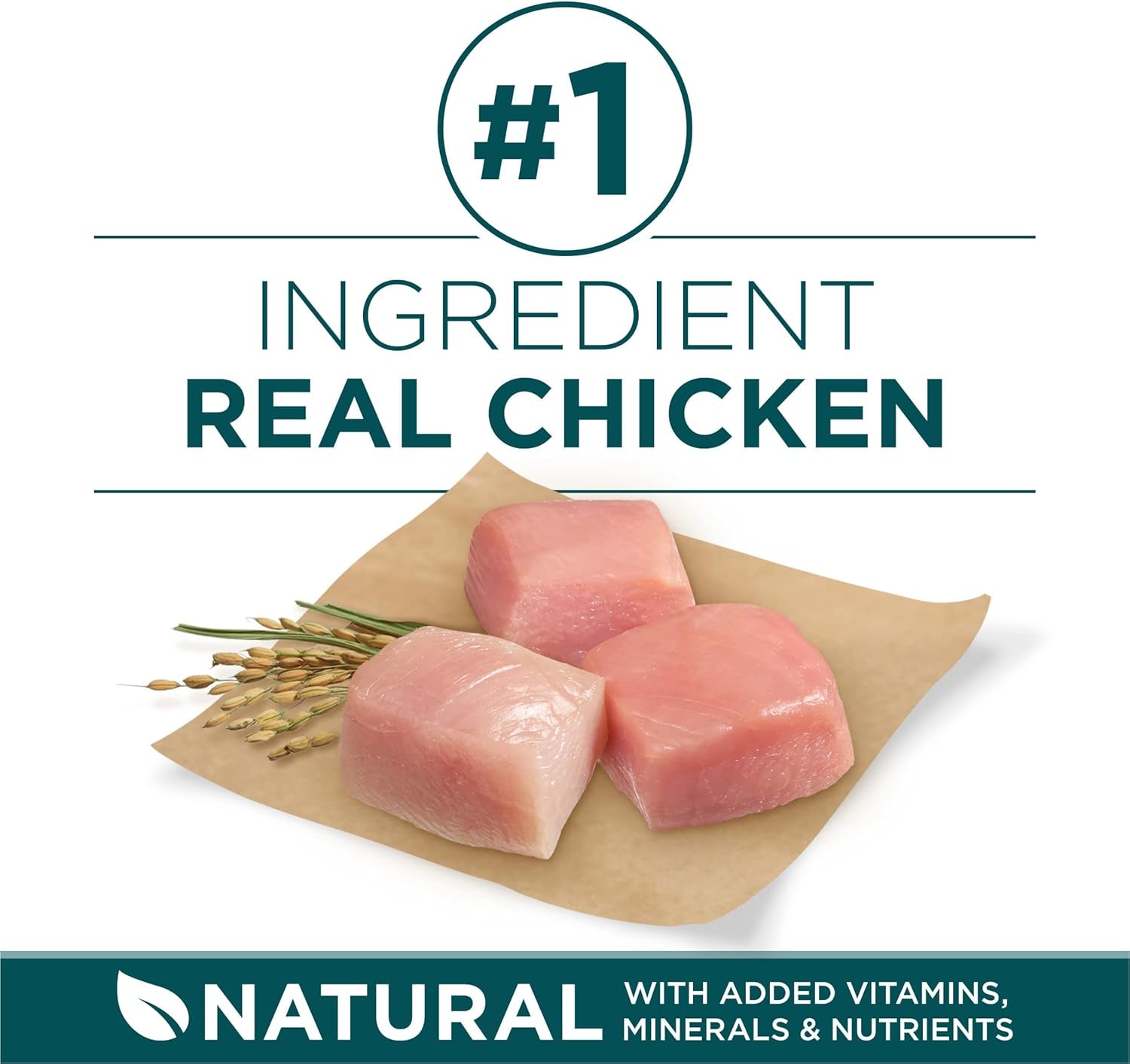 plus Puppy Dry Dog Food for Large Dogs High Protein Growth Support, Real Chicken - 31.1 Lb Bag