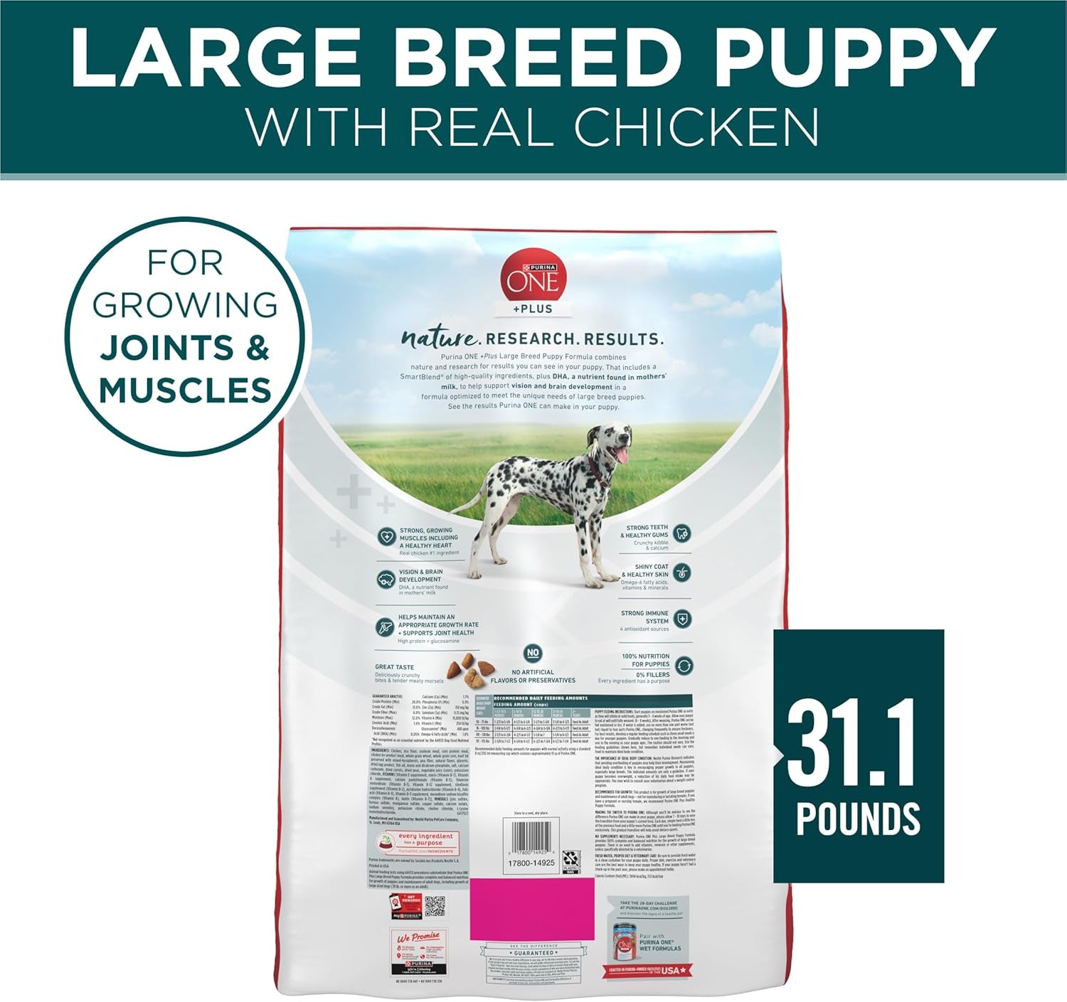 plus Puppy Dry Dog Food for Large Dogs High Protein Growth Support, Real Chicken - 31.1 Lb Bag
