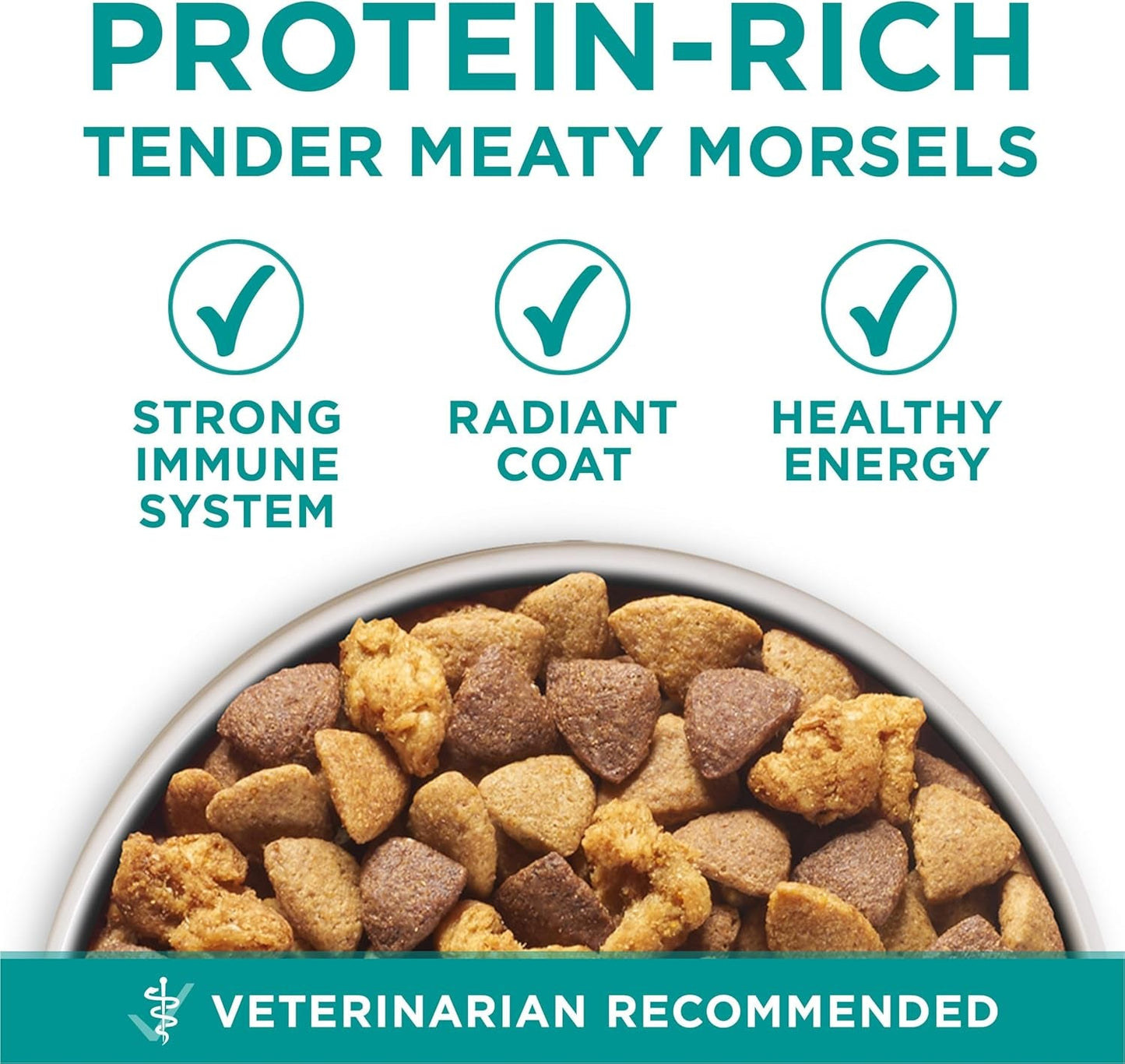 plus Digestive Health Formula Dry Dog Food Natural with Added Vitamins, Minerals and Nutrients - 31.1 Lb. Bag