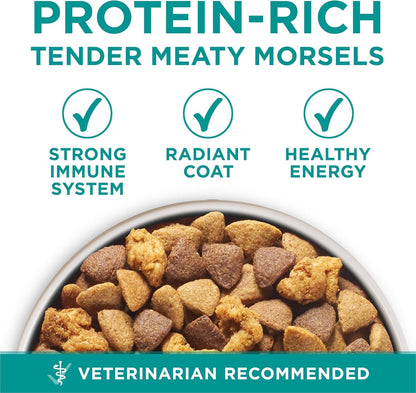 plus Digestive Health Formula Dry Dog Food Natural with Added Vitamins, Minerals and Nutrients - 31.1 Lb. Bag