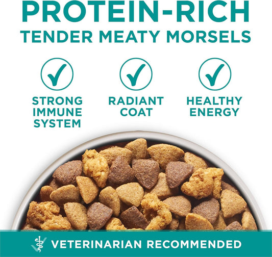 plus Digestive Health Formula Dry Dog Food Natural with Added Vitamins, Minerals and Nutrients - 31.1 Lb. Bag