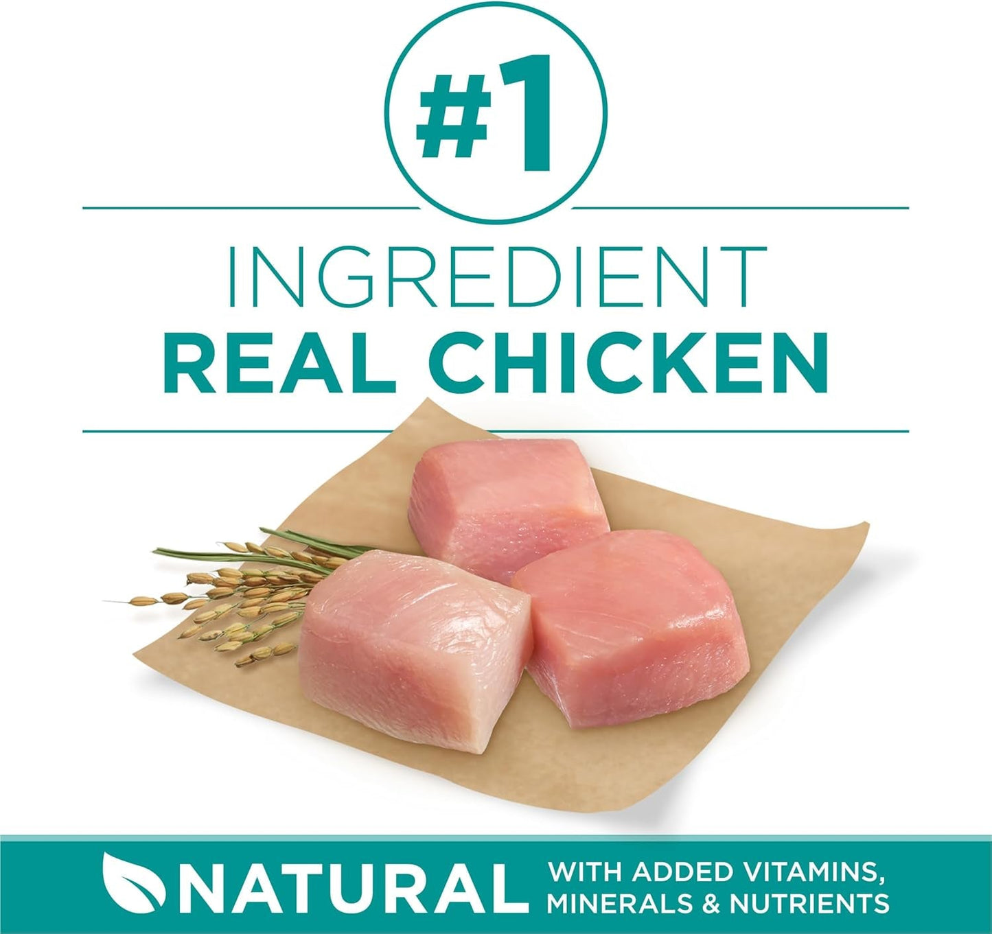 plus Digestive Health Formula Dry Dog Food Natural with Added Vitamins, Minerals and Nutrients - 31.1 Lb. Bag