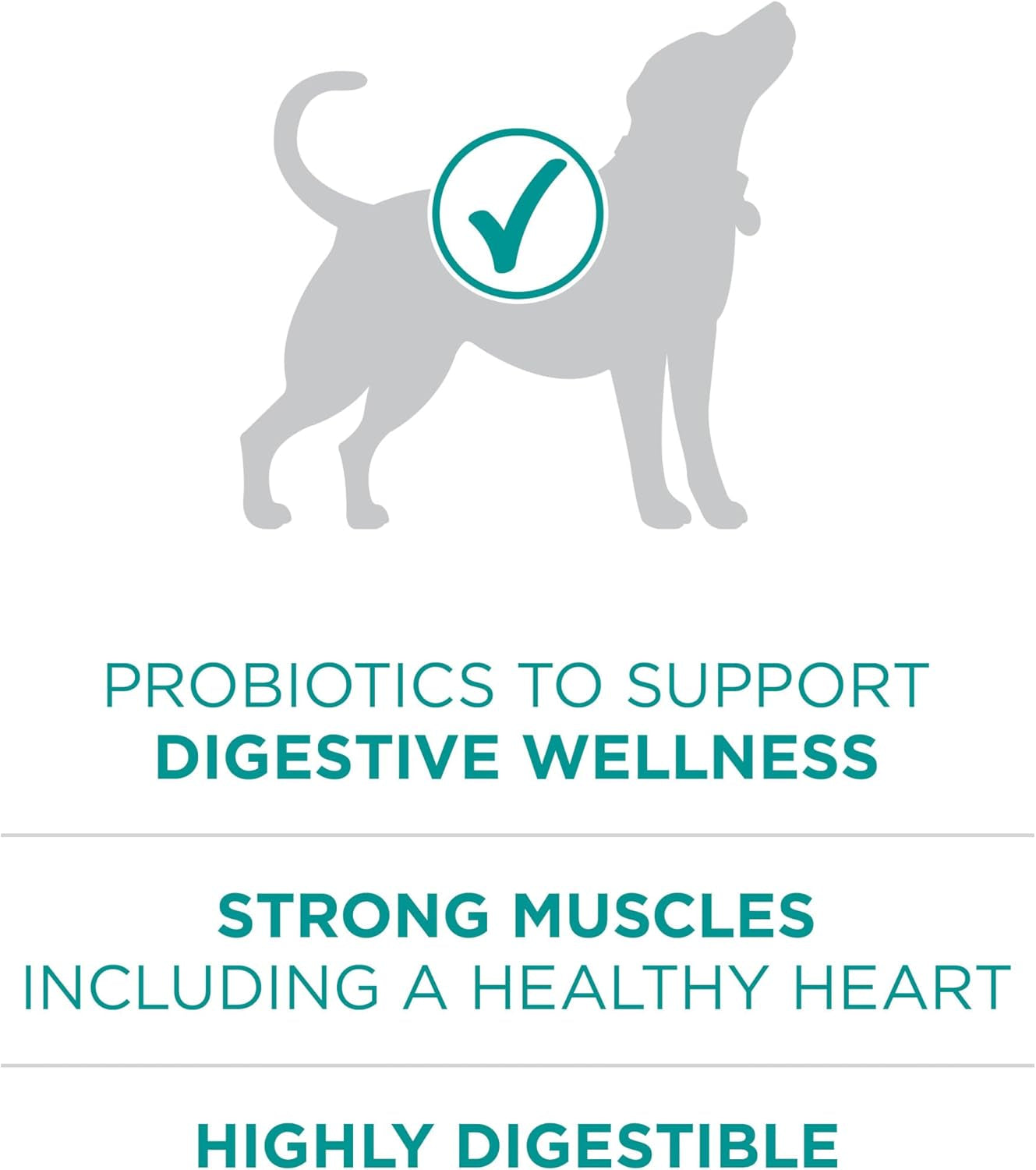 plus Digestive Health Formula Dry Dog Food Natural with Added Vitamins, Minerals and Nutrients - 31.1 Lb. Bag