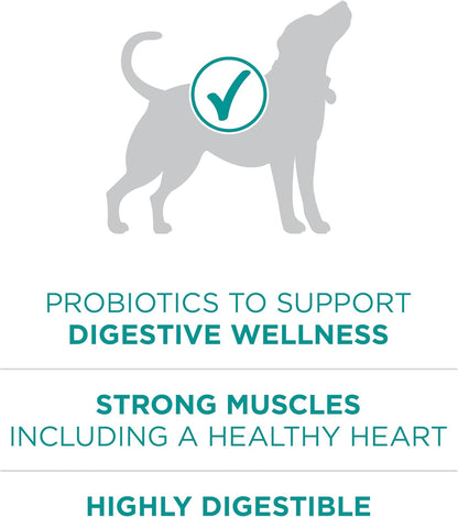 plus Digestive Health Formula Dry Dog Food Natural with Added Vitamins, Minerals and Nutrients - 31.1 Lb. Bag