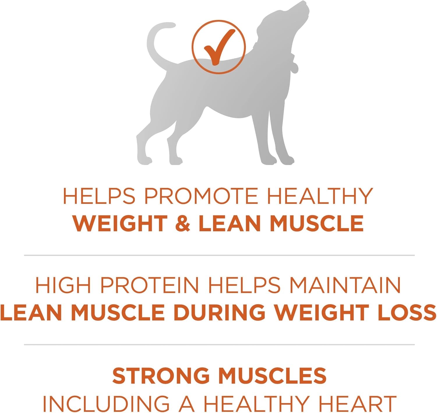 plus Healthy Weight High-Protein Dog Food Dry Formula - 16.5 Lb. Bag
