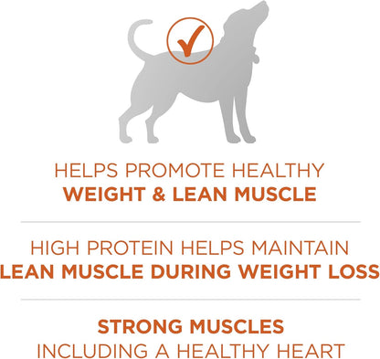 plus Healthy Weight High-Protein Dog Food Dry Formula - 16.5 Lb. Bag
