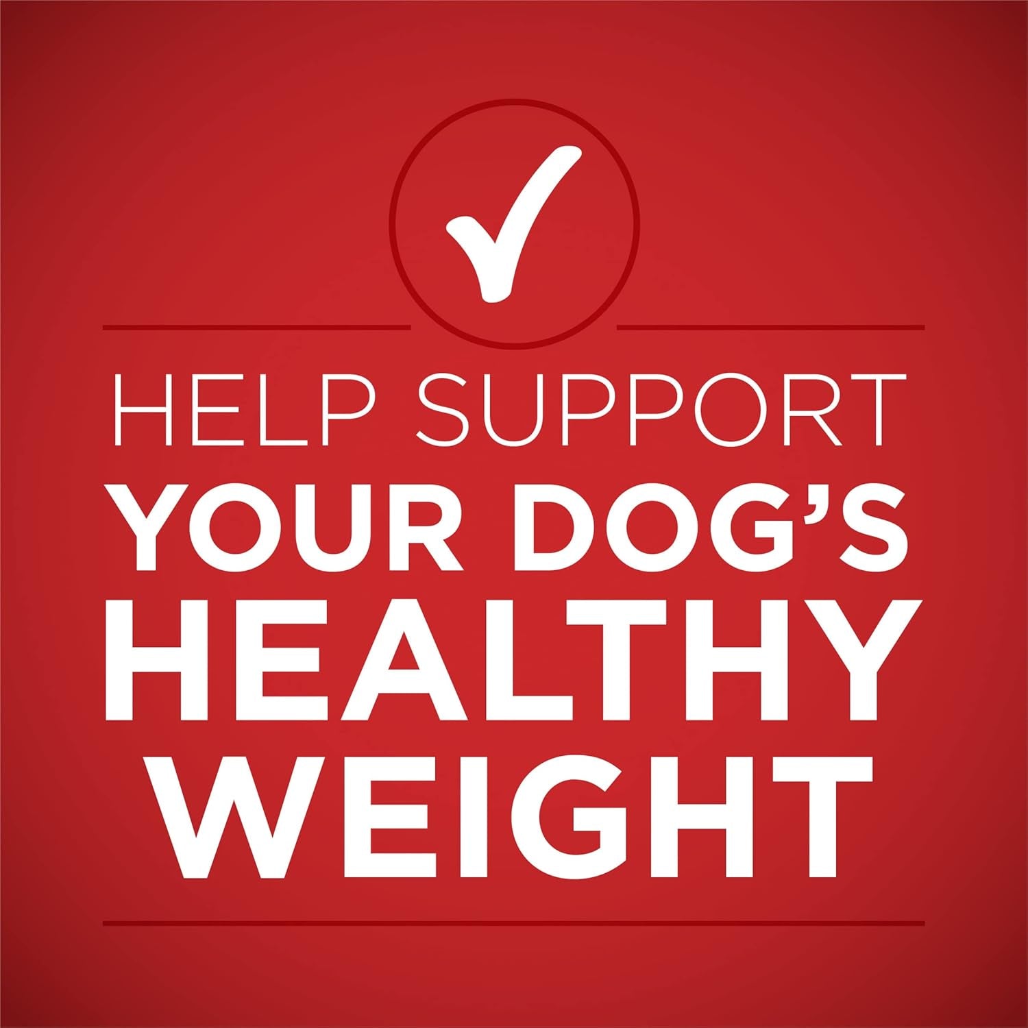 plus Tender Cuts in Gravy Healthy Weight Lamb and Brown Rice Entree in Wet Dog Food Gravy - (Pack of 12) 13 Oz. Cans