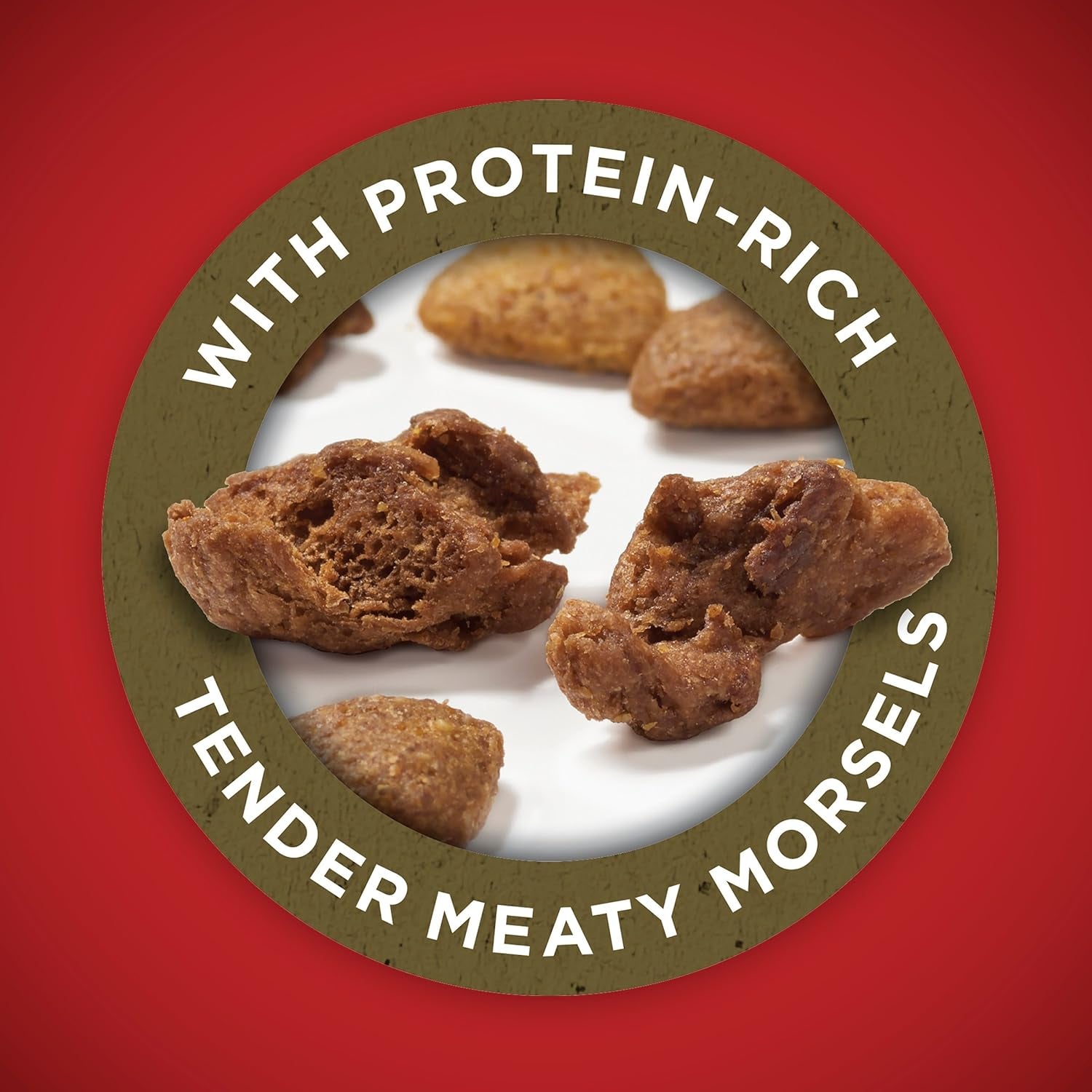 Dry Dog Food Lamb and Rice Formula - 16.5 Lb. Bag