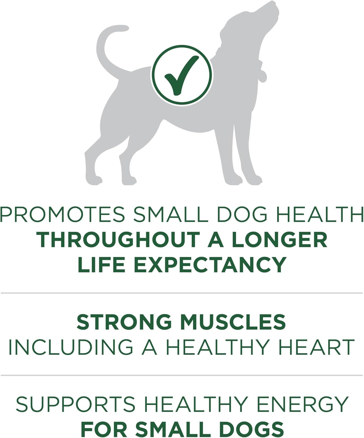 Small Breed plus High-Protein Dog Food Lamb and Rice Formula Dry Dog Food - 15 Lb. Bag