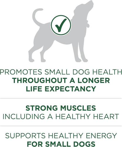 Small Breed plus High-Protein Dog Food Lamb and Rice Formula Dry Dog Food - 15 Lb. Bag