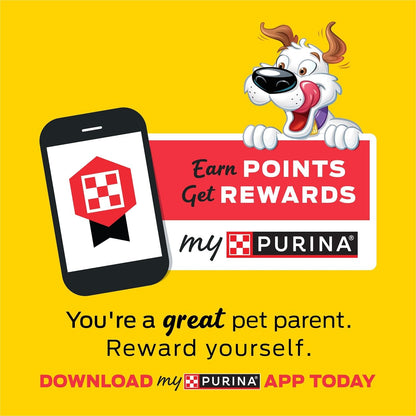 with Real Meat Dog Treats, Fun Size Original with Bacon Flavor - 25 Oz. Pouch