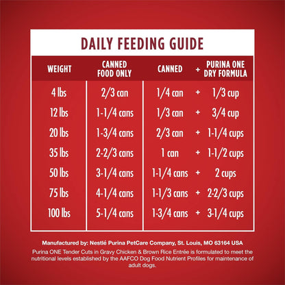 Natural High Protein Dog Food, Tender Cuts in Gravy Chicken and Brown Rice Entrée - 13 Ounce (Pack of 12)