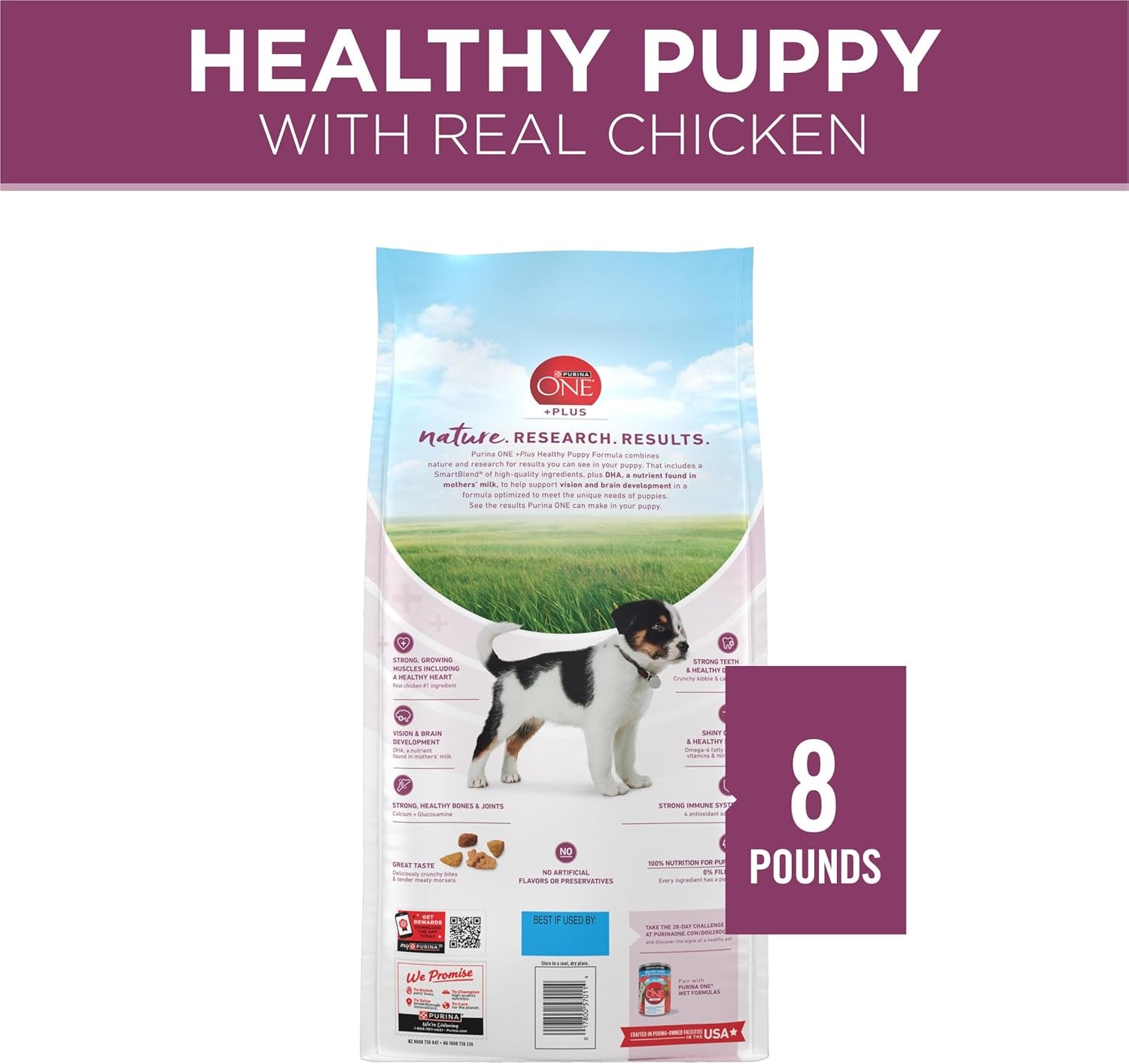 plus Healthy Puppy Formula High Protein Natural Dry Puppy Food with Added Vitamins, Minerals and Nutrients - 8 Lb. Bag