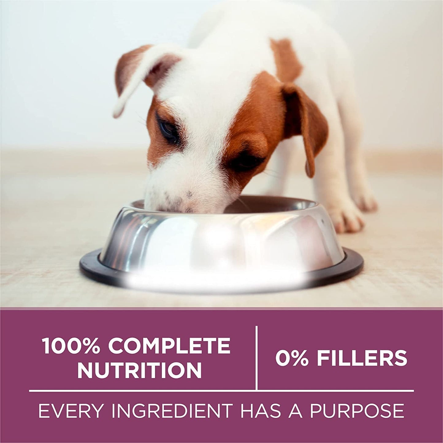 plus Healthy Puppy Formula High Protein Natural Dry Puppy Food with Added Vitamins, Minerals and Nutrients - 8 Lb. Bag