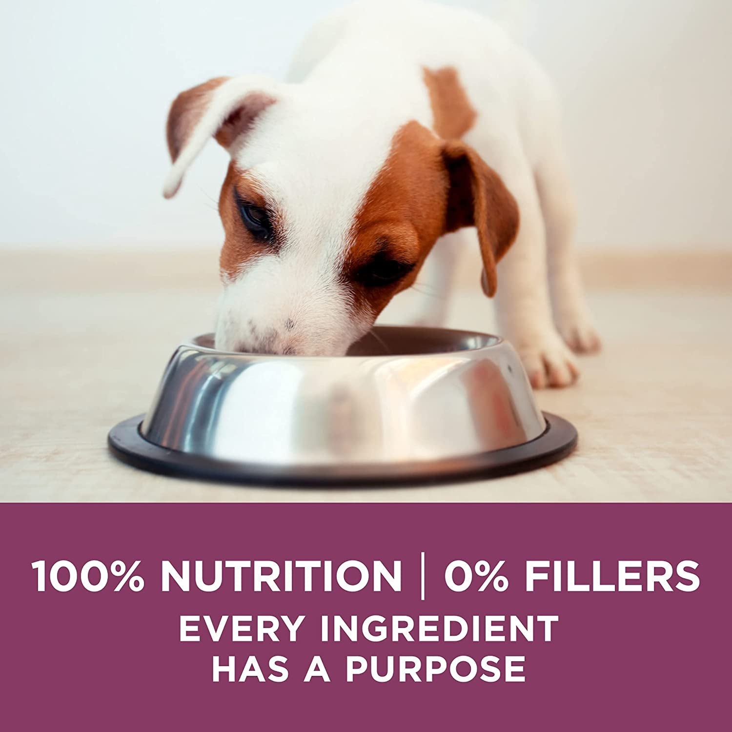 plus Healthy Puppy Formula High Protein Natural Dry Puppy Food with Added Vitamins, Minerals and Nutrients - 8 Lb. Bag