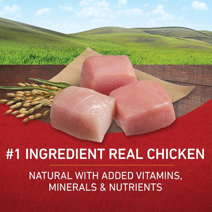 Chicken and Rice Formula Dry Dog Food - 31.1 Lb. Bag