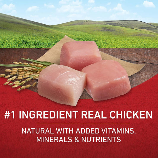 Chicken and Rice Formula Dry Dog Food - 31.1 Lb. Bag