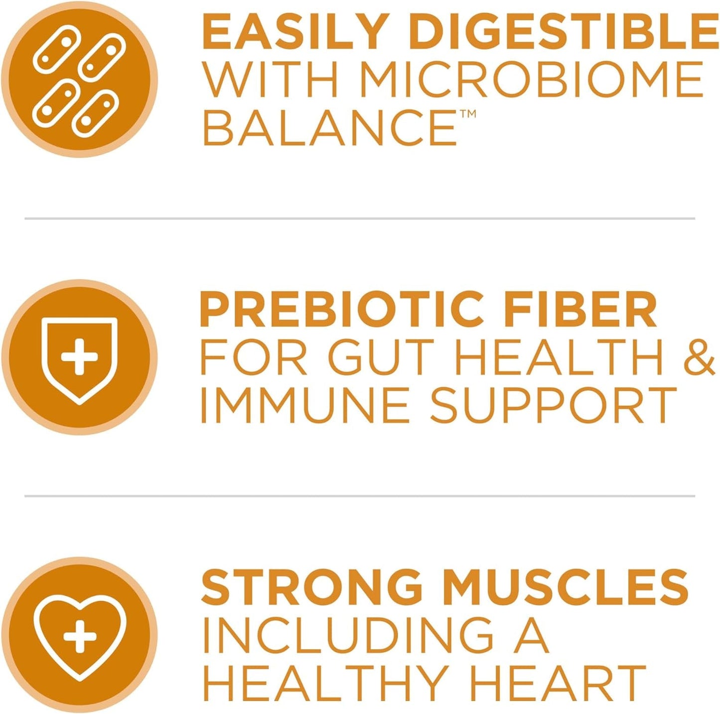 Chicken and Rice Formula Dry Dog Food - 31.1 Lb. Bag