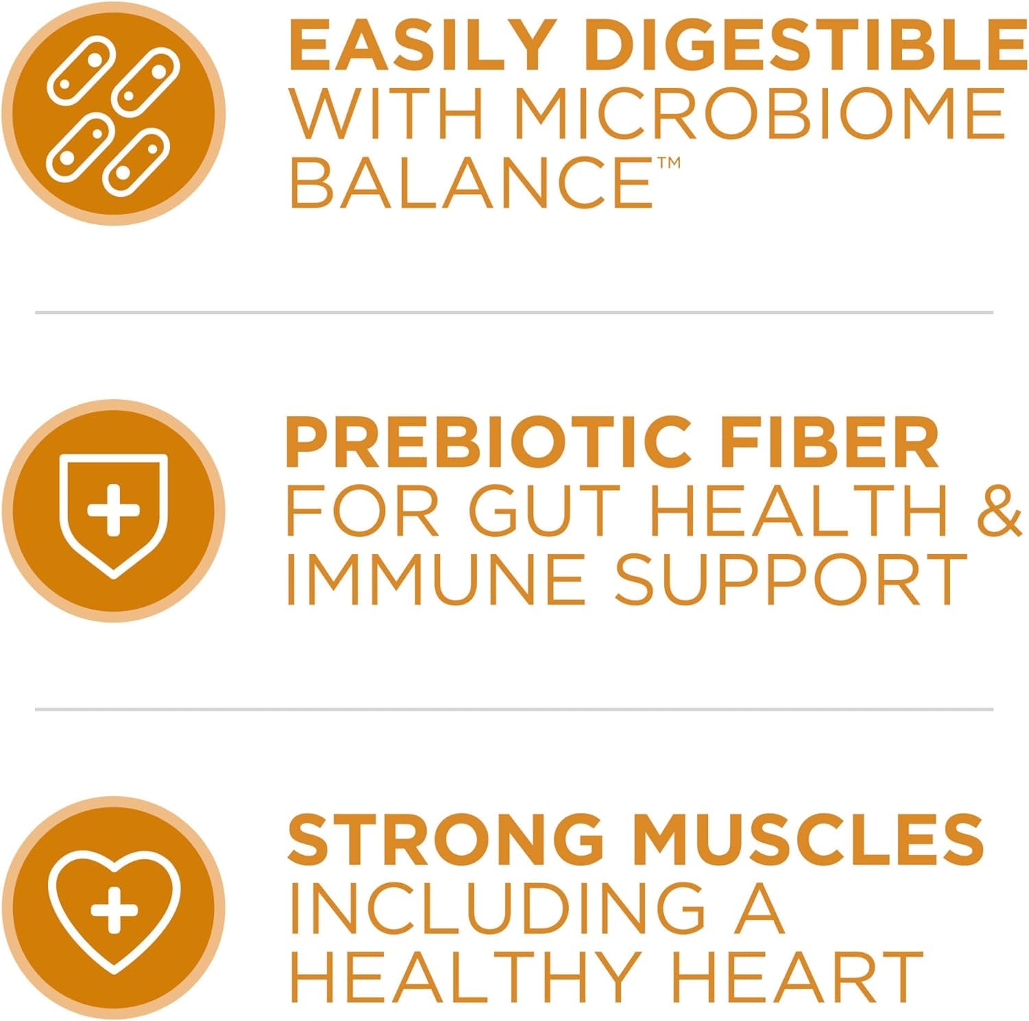 Chicken and Rice Formula Dry Dog Food - 31.1 Lb. Bag