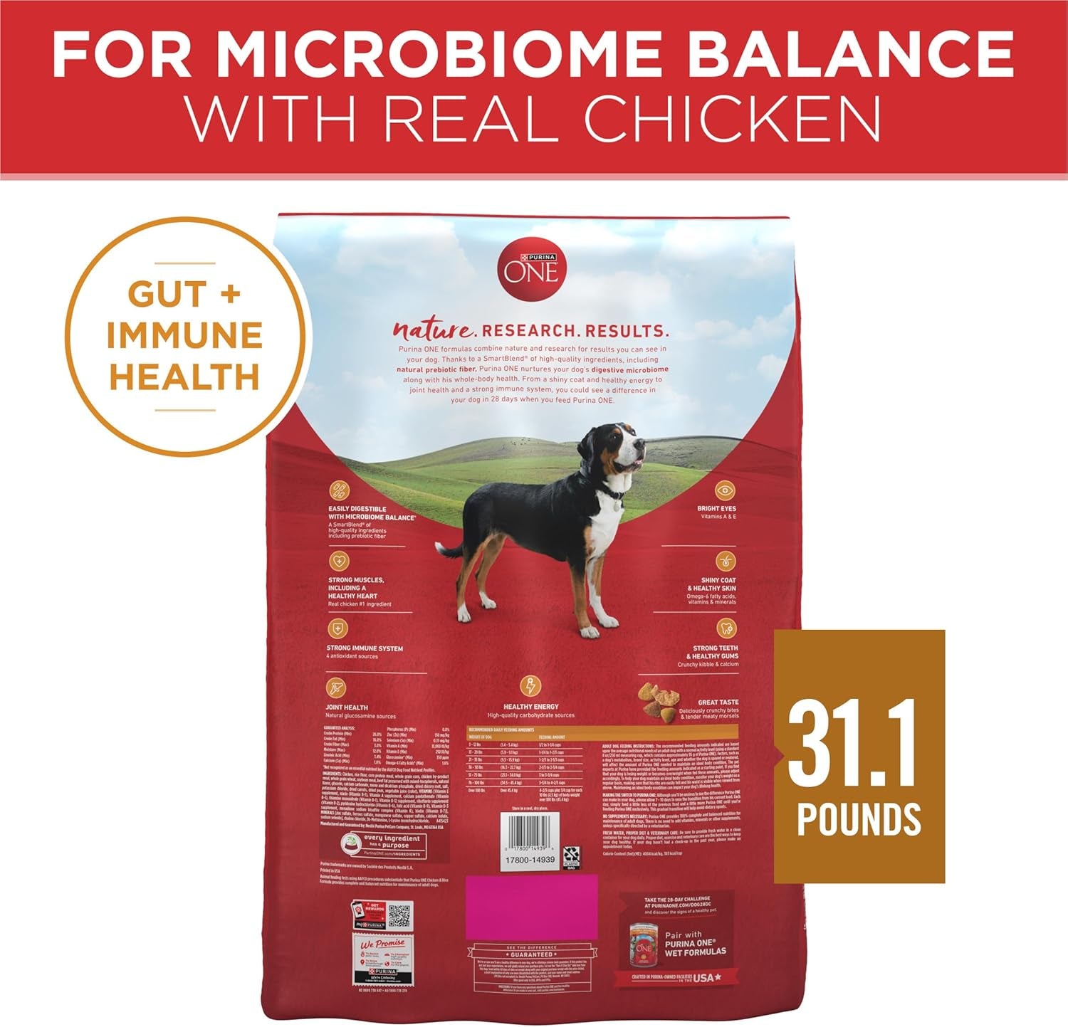 Chicken and Rice Formula Dry Dog Food - 31.1 Lb. Bag