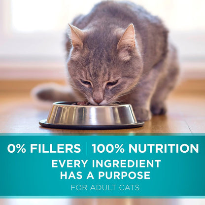 Natural Dry Cat Food, Tender Selects Blend with Real Chicken - 7 Lb. Bag