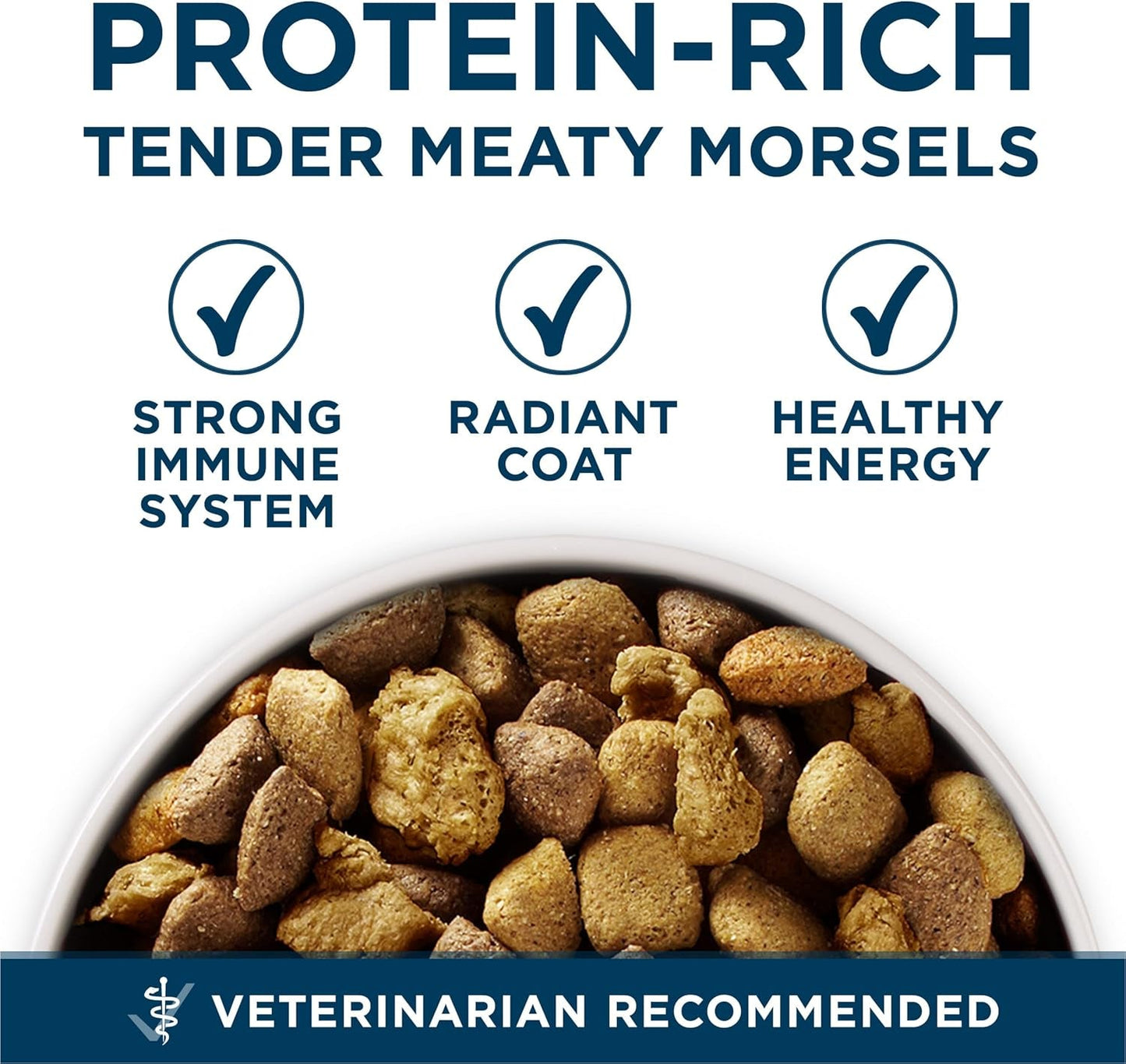 plus Large Breed Adult Dog Food Dry Formula, Real Protein Rich Natural Chicken Flavor - 40 Lb. Bag